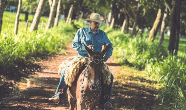 Paragominas | Fazenda | Agro