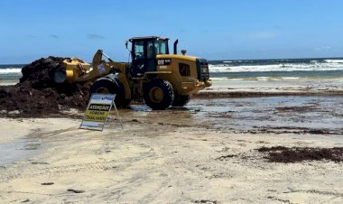 Governo do Pará realiza ação de remoção de algas na Praia do Atalaia