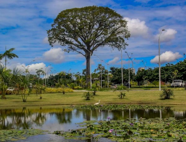 Parque Estadual do Utinga é Reconhecido Como um dos Dez Mais Visitados do Brasil